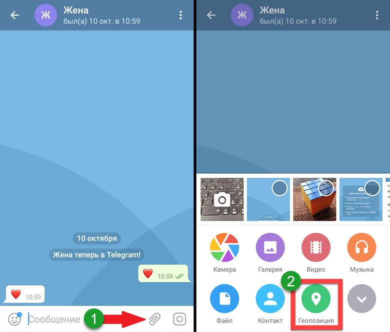 прикрепить геопозицию в телеграм чате
